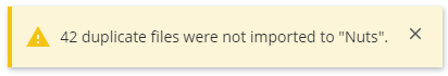 Duplicate files