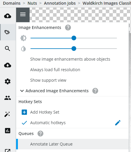 Annotate later queue